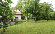 Garten_1