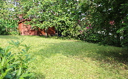 Garten_2